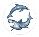 chatgpt image feb 26, 2026, 06 19 25 pm